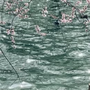 北京旅游 缩略图 2