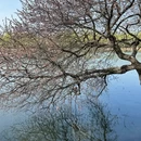 北京旅游 缩略图 5