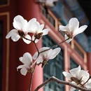 北京旅游 缩略图 12