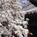 北京旅游 缩略图 14