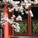 北京旅游 缩略图 13