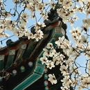 北京旅游 缩略图 6