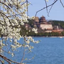 北京旅游 缩略图 8