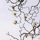 北京旅游 缩略图 10