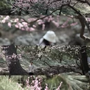 北京旅游 缩略图 17