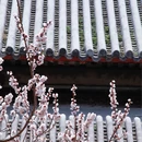 北京旅游 缩略图 15