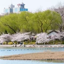 北京旅游 缩略图 9