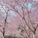 北京旅游 缩略图 7