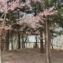 北京旅游 缩略图 6