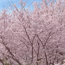 北京旅游 缩略图 5
