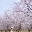 北京旅游 缩略图 4