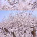 北京旅游 缩略图 7