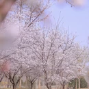 北京旅游 缩略图 8