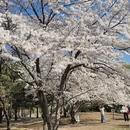 北京旅游 缩略图 2