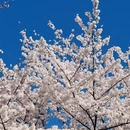 北京旅游 缩略图 5