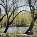 北京旅游 缩略图 13
