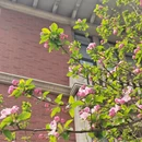 天津旅游 缩略图 7