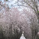西安旅游 缩略图 5