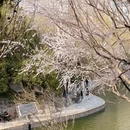 北京旅游 缩略图 12