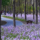 北京旅游 缩略图 7