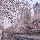 北京旅游 缩略图 1