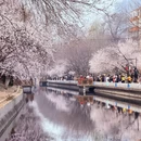 北京旅游 缩略图 2