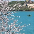 北京旅游 缩略图 3