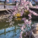 北京旅游 缩略图 6