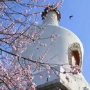 北京旅游 缩略图 7