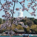 北京旅游 缩略图 8