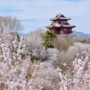 北京旅游 缩略图 12