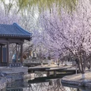北京旅游 缩略图 5