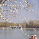 北京旅游 缩略图 11