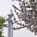 北京旅游 缩略图 9