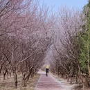 北京旅游 缩略图 6