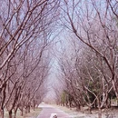 北京旅游 缩略图 5