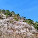 北京旅游 缩略图 3