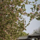 北京旅游 缩略图 5