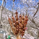 北京旅游 缩略图 4