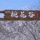 北京旅游 缩略图 1