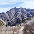 北京旅游 缩略图 2