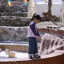 北京旅游 缩略图 2