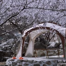北京旅游 缩略图 8