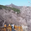 北京旅游 缩略图 3