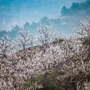 北京旅游 缩略图 2