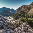 北京旅游 缩略图 1