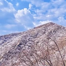 北京旅游 缩略图 3