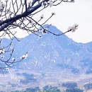 北京旅游 缩略图 10