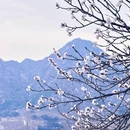 北京旅游 缩略图 6
