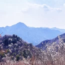 北京旅游 缩略图 8
